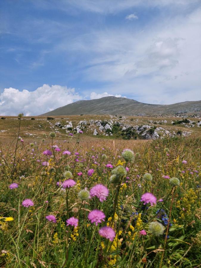 Apartman Cincar Livno Esterno foto